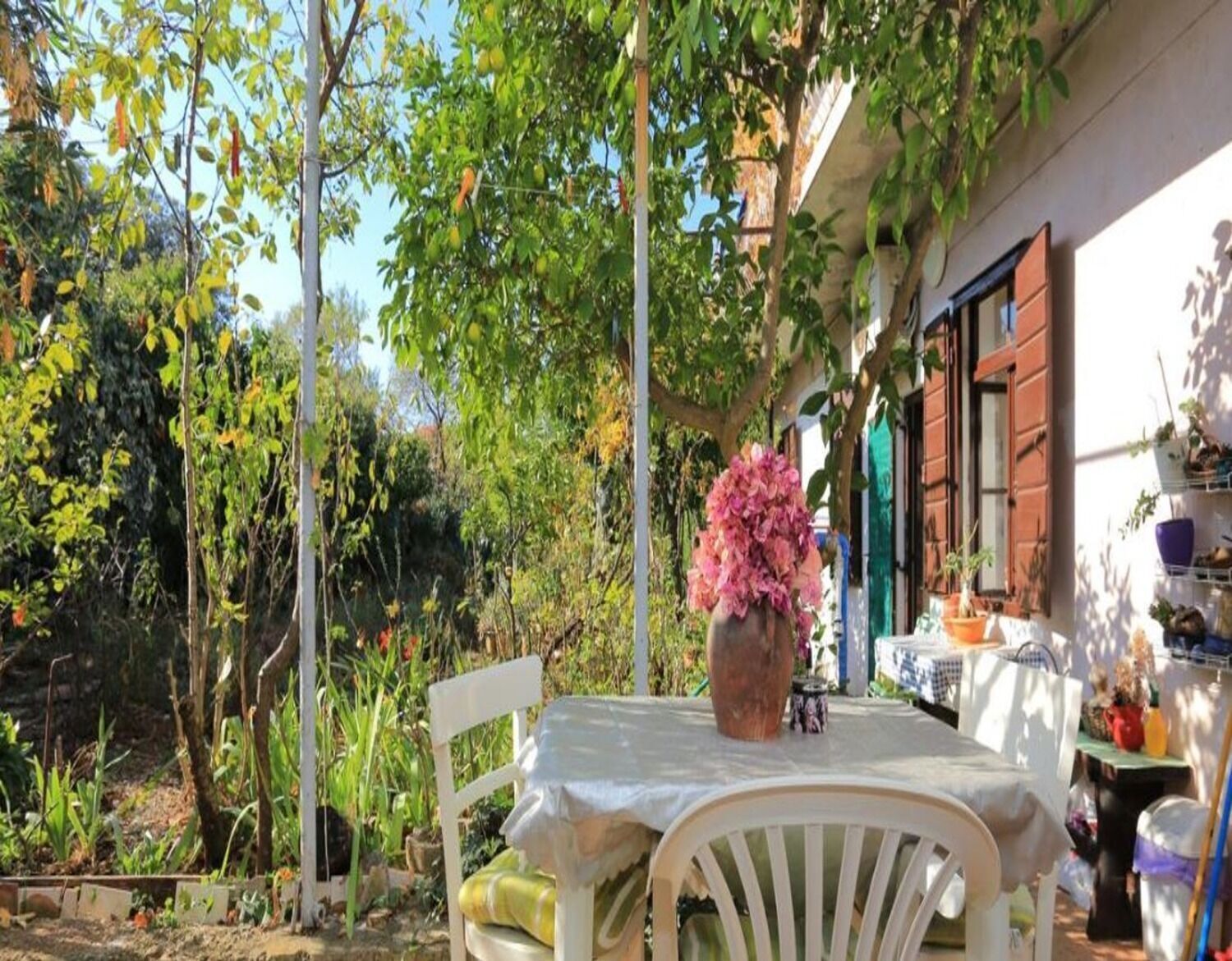 Studio (A2) | Terrace/patio