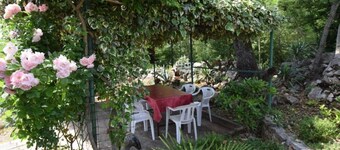 Apartments Jozefina
