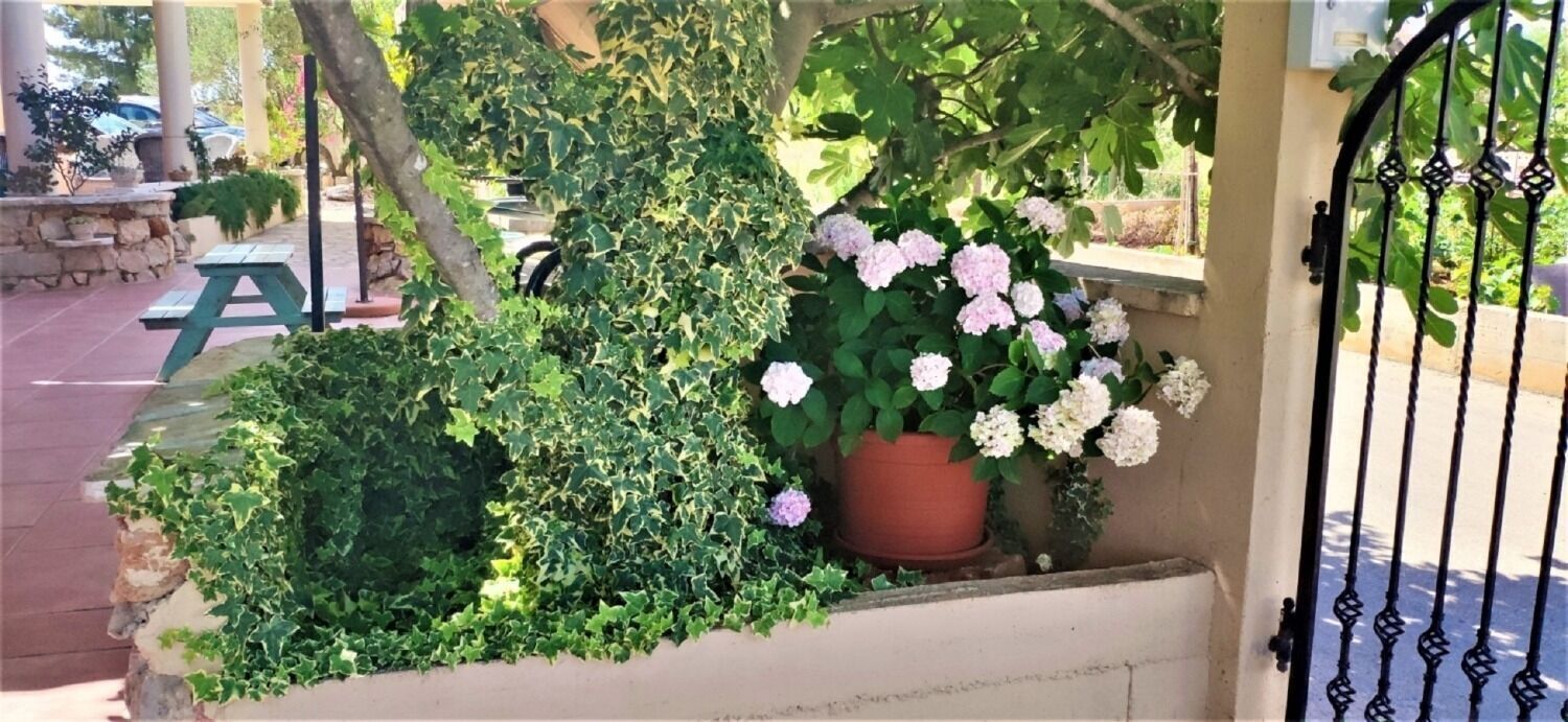 Appartement (A3) | Balkon