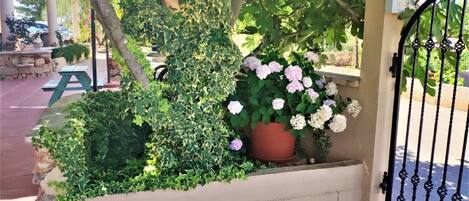 アパートメント (A3) | バルコニー