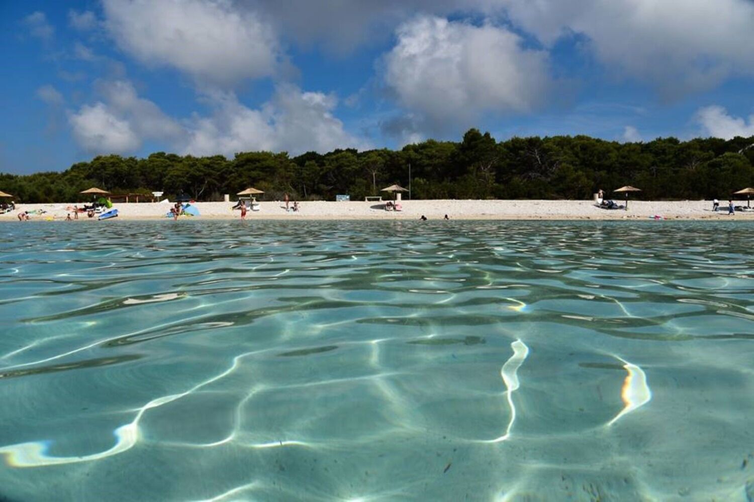 بالقرب من الشاطئ