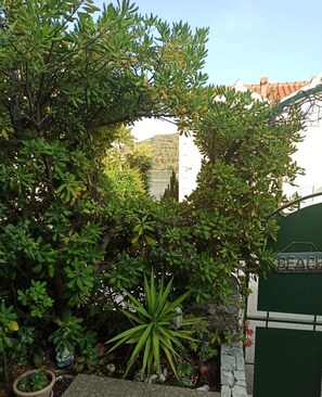 Exterior - House Villa Linda (Seget)