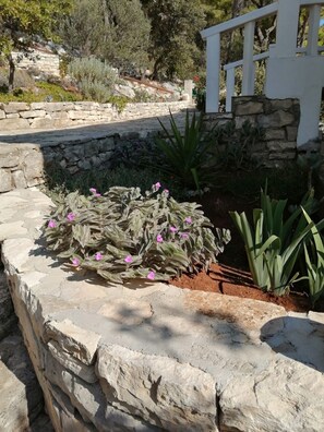 Garden - Apartments Desa (Blato)