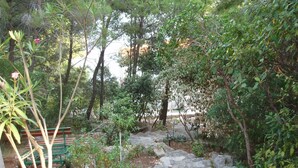 A stone staircase leading up to a wooden bench surrounded by lush greenery and trees. - Apartments Desa (Blato)