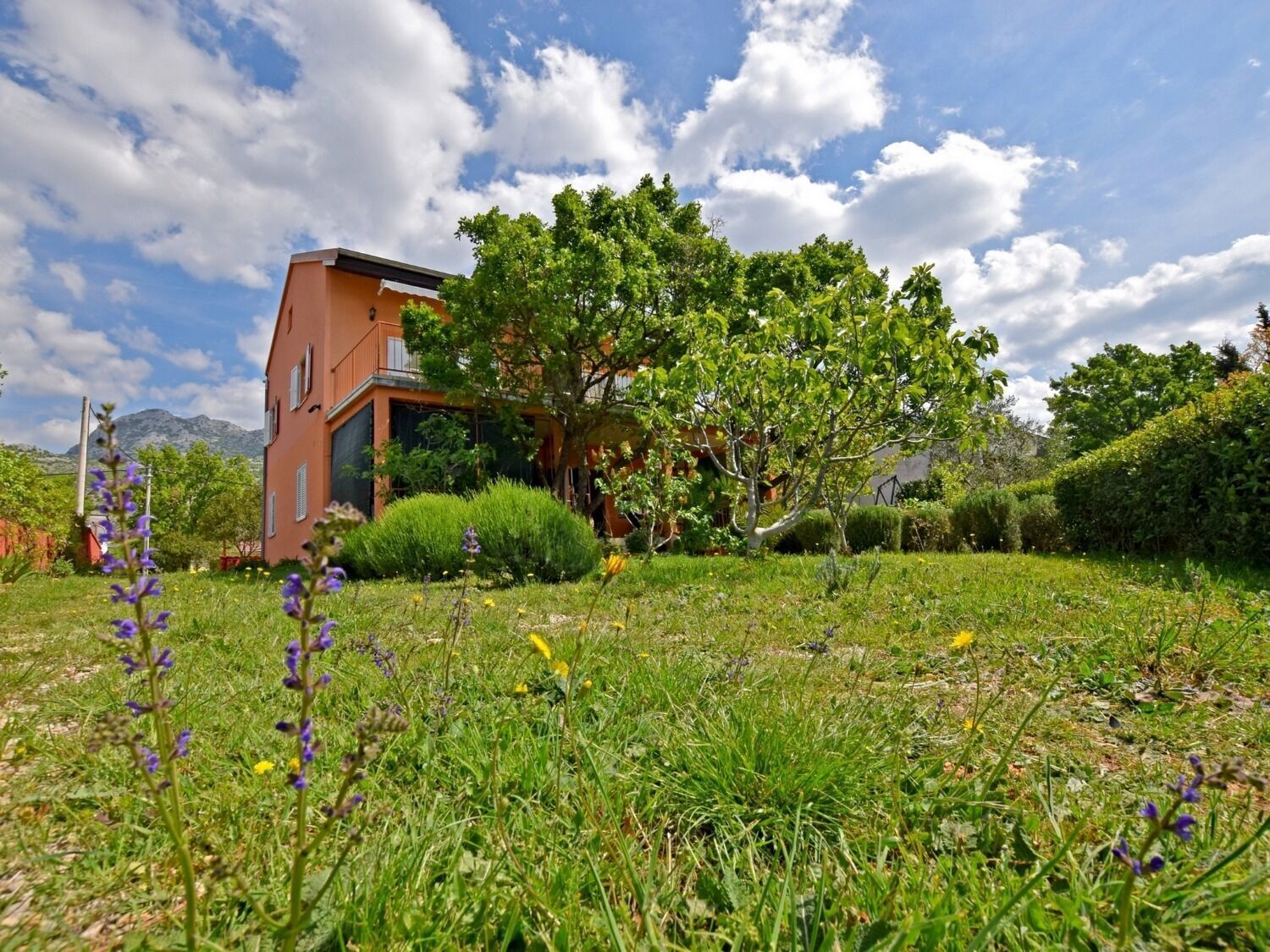 Áreas de la propiedad