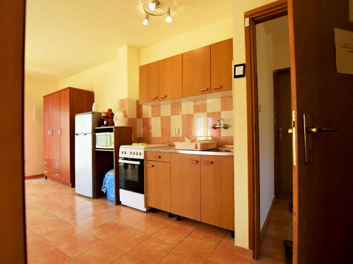 Apartment (A1) | Private kitchen | Fridge, microwave, oven, stovetop