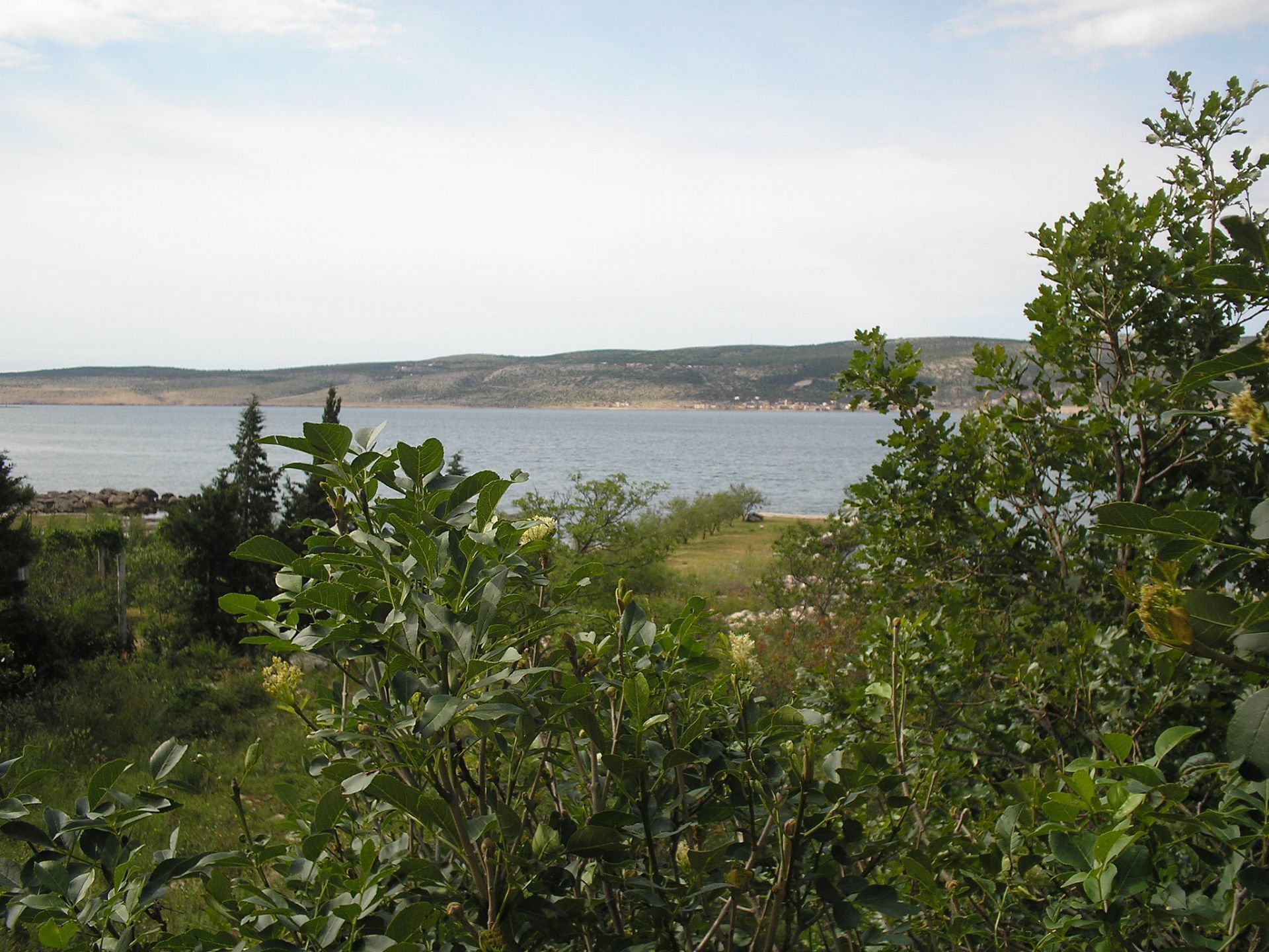 Apartment (A1) | Water view