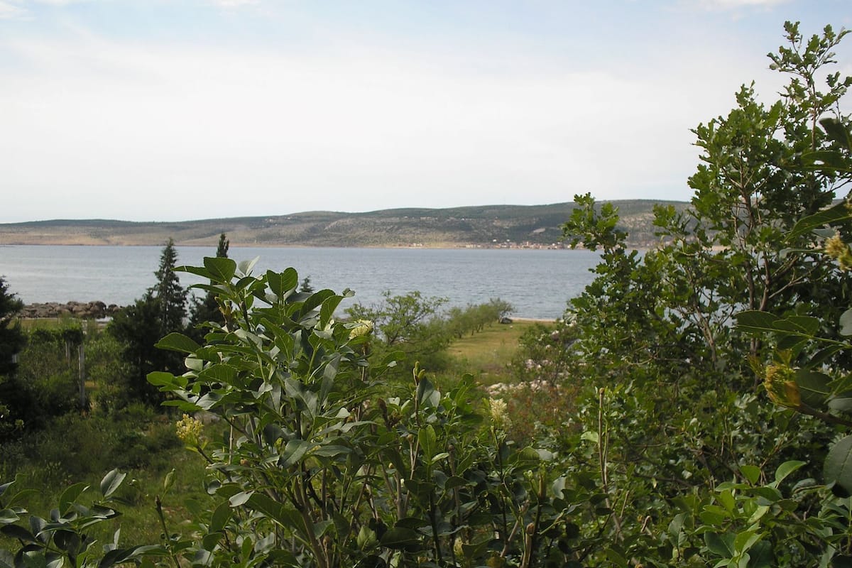 A natural landscape with a body of water, hills in the background, and dense greenery in the foreground.