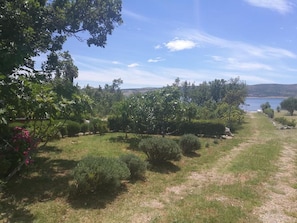 Property grounds - Apartments Mari (Starigrad)