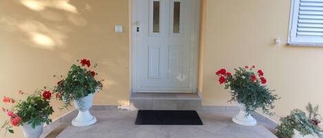 A front door with a black mat, two potted plants with red flowers, and a wall-mounted light fixture.