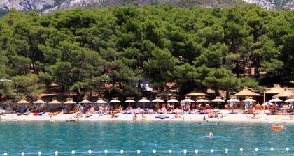 Apartments and Room Goran