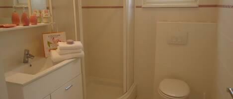Un baño con ducha, inodoro, lavabo y espejo.