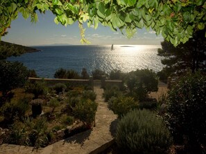 Property grounds - House Ani (Solta)