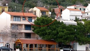 A coastal building with a tiled roof, a wooden structure with a red roof, and a tree in front. - Apartment Bianca (Podgora)