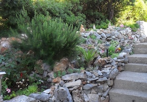 Courtyard - Apartment Ivope (Supetar)