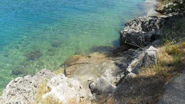 A coastal landscape with clear water, rocky shore, and sparse vegetation. - Apartment Ivope (Supetar)
