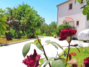 Courtyard - Apartment Ljilja (Nin)