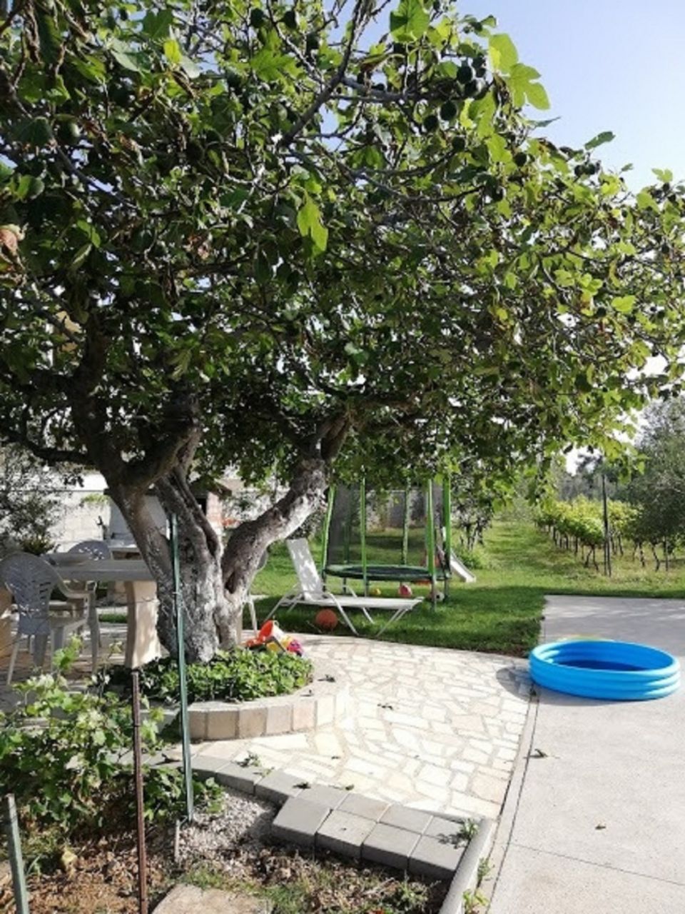 A tree-lined pathway with a stone bench and a blue circular object, likely a pool or water feature.