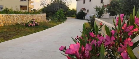 庭園