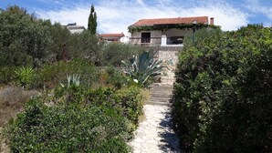 Un sendero de piedra conduce a una casa con techo de tejas rojas, rodeada de exuberante vegetación y un cielo azul despejado.