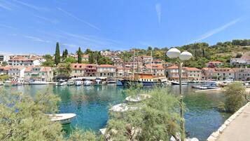 ู
ุงุฑููุง