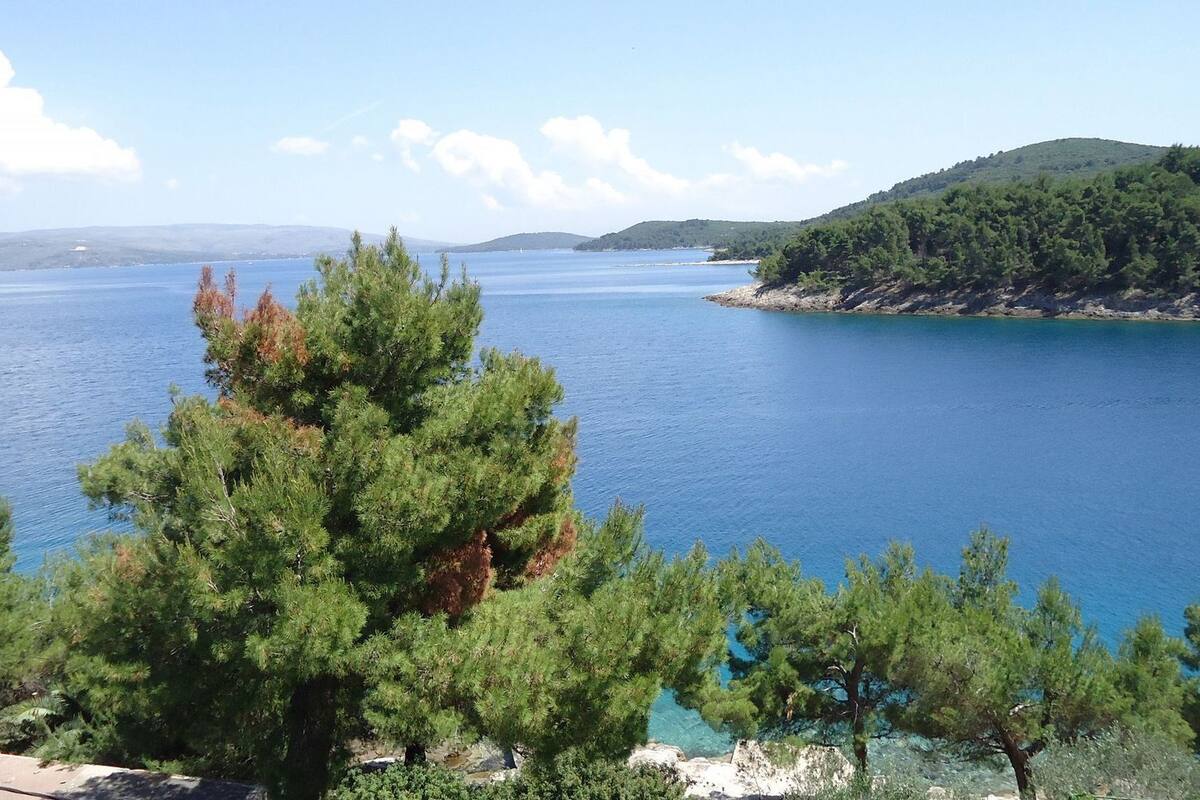 LÀgenhet (A1) | Utsikt frÄn luften