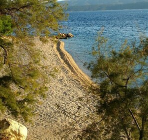 A coastal path with rocky terrain and pine trees. - Apartments Mari (Omis)