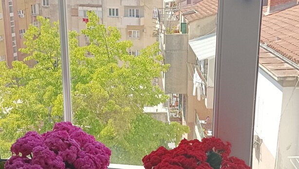 Deux plantes en pot, ornées de fleurs roses et rouges, sont posées sur un rebord de fenêtre.
