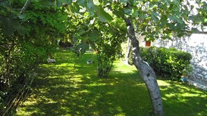 Un jardin bien entretenu, agrémenté de divers arbres et arbustes, d’un mur en pierre et d’une pelouse verdoyante.