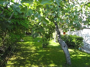 A well-maintained garden with a variety of trees and shrubs, a stone wall, and a grassy lawn. - Apartment Renci (Biograd na Moru)