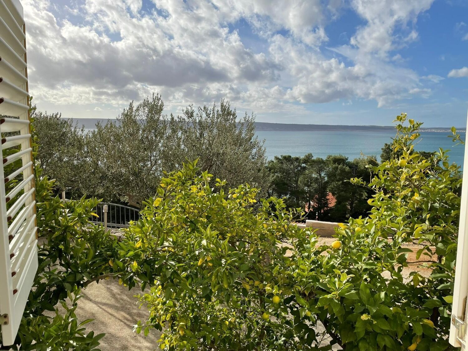 Apartment (A2) | Garden view