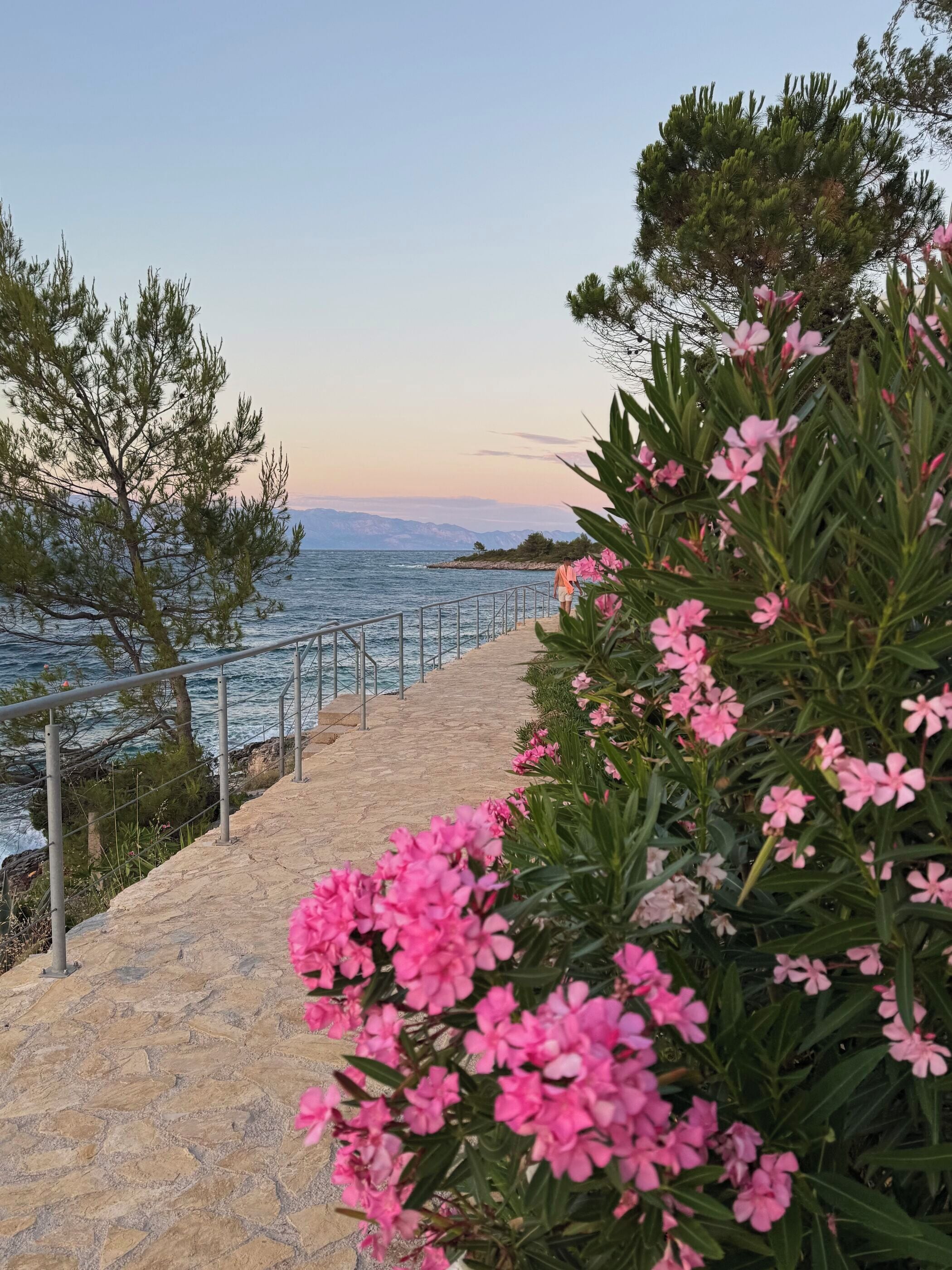 Un sendero costero con barandilla, camino de piedra y flores rosadas.
