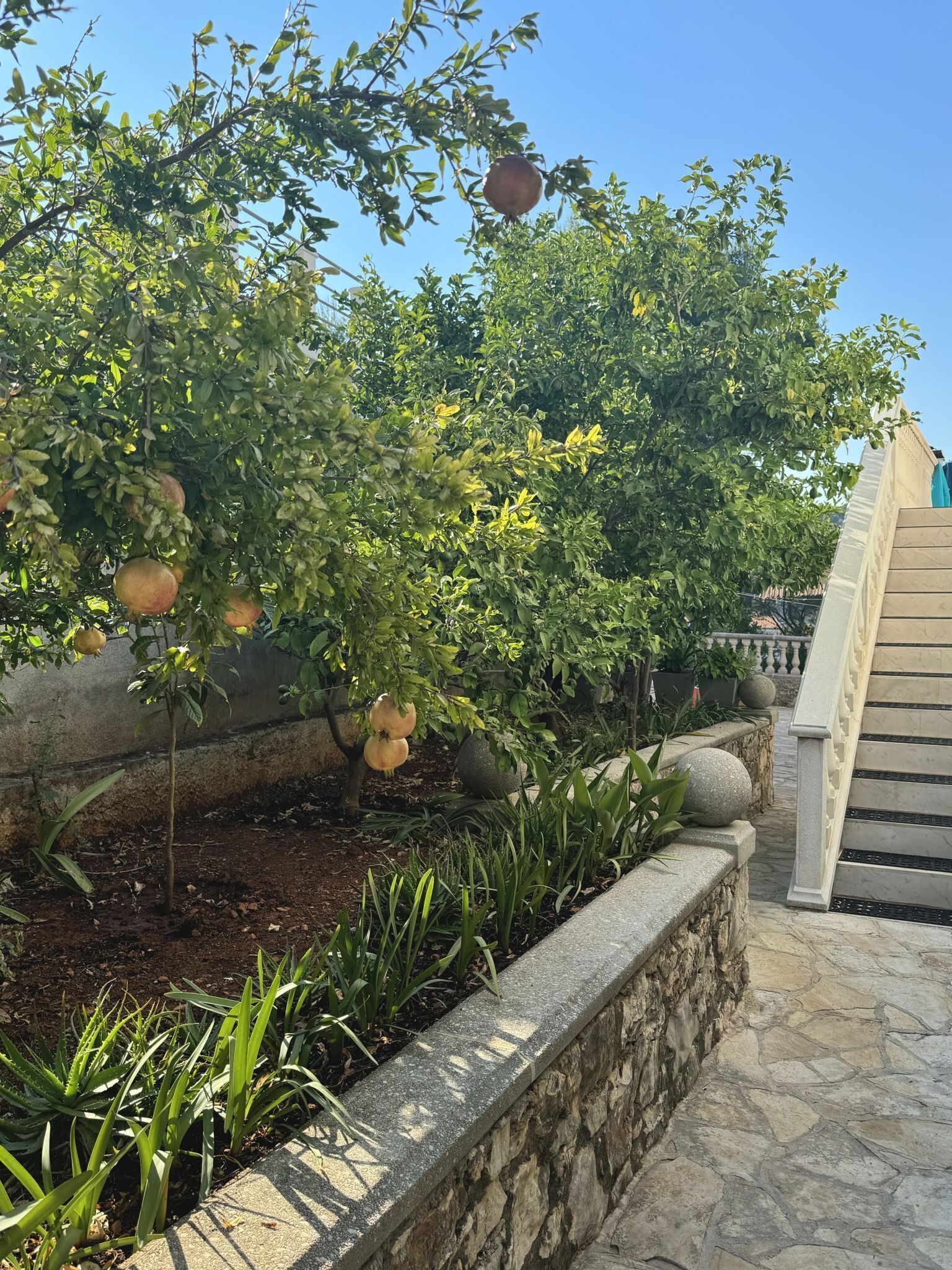 Cortile