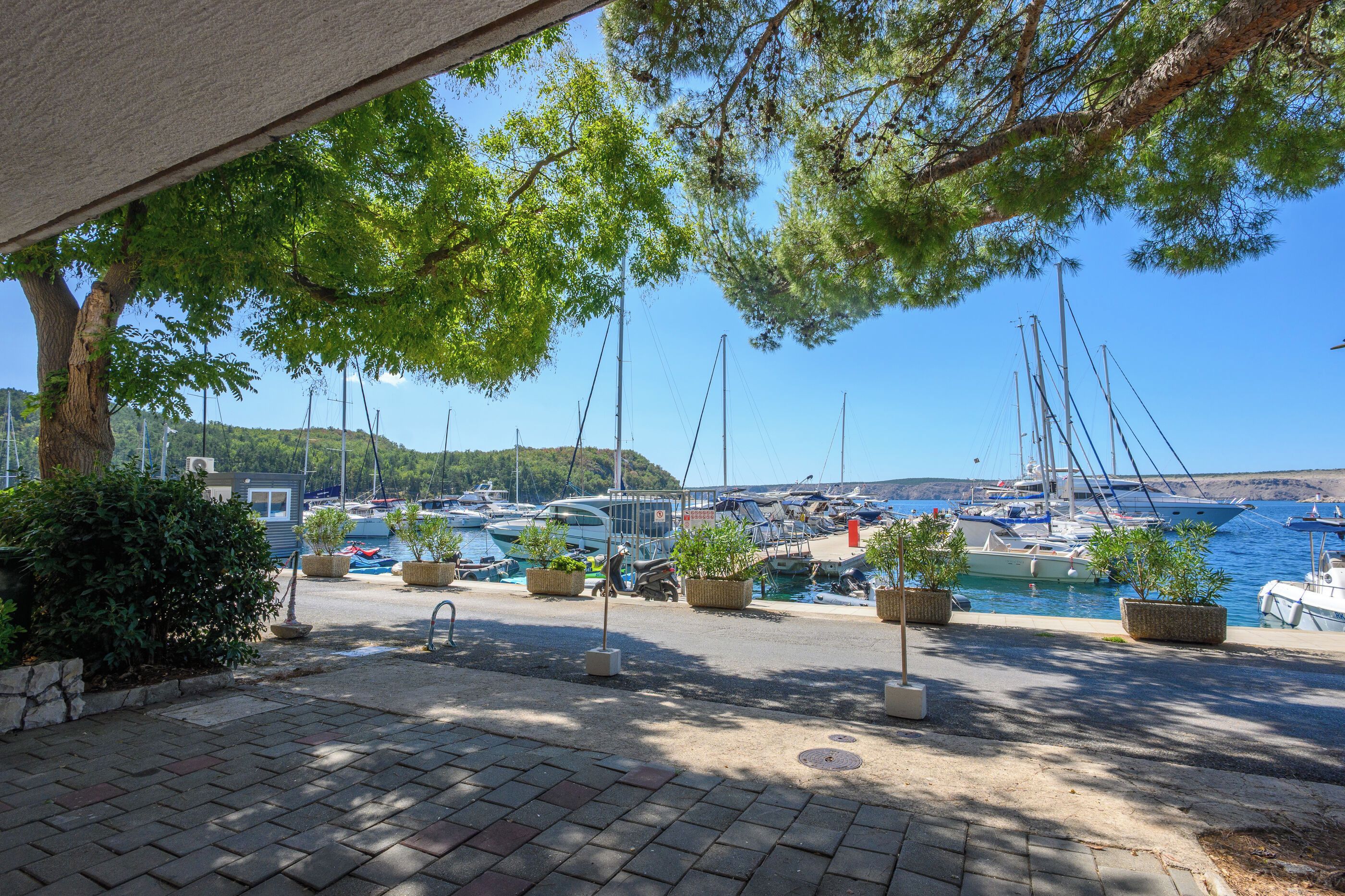 A marina with boats docked, a paved walkway, and potted plants.