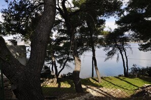 Zona exterior tancada amb arbres i una massa d'aigua.