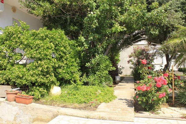 Garden - Apartments Branko (Povljana)