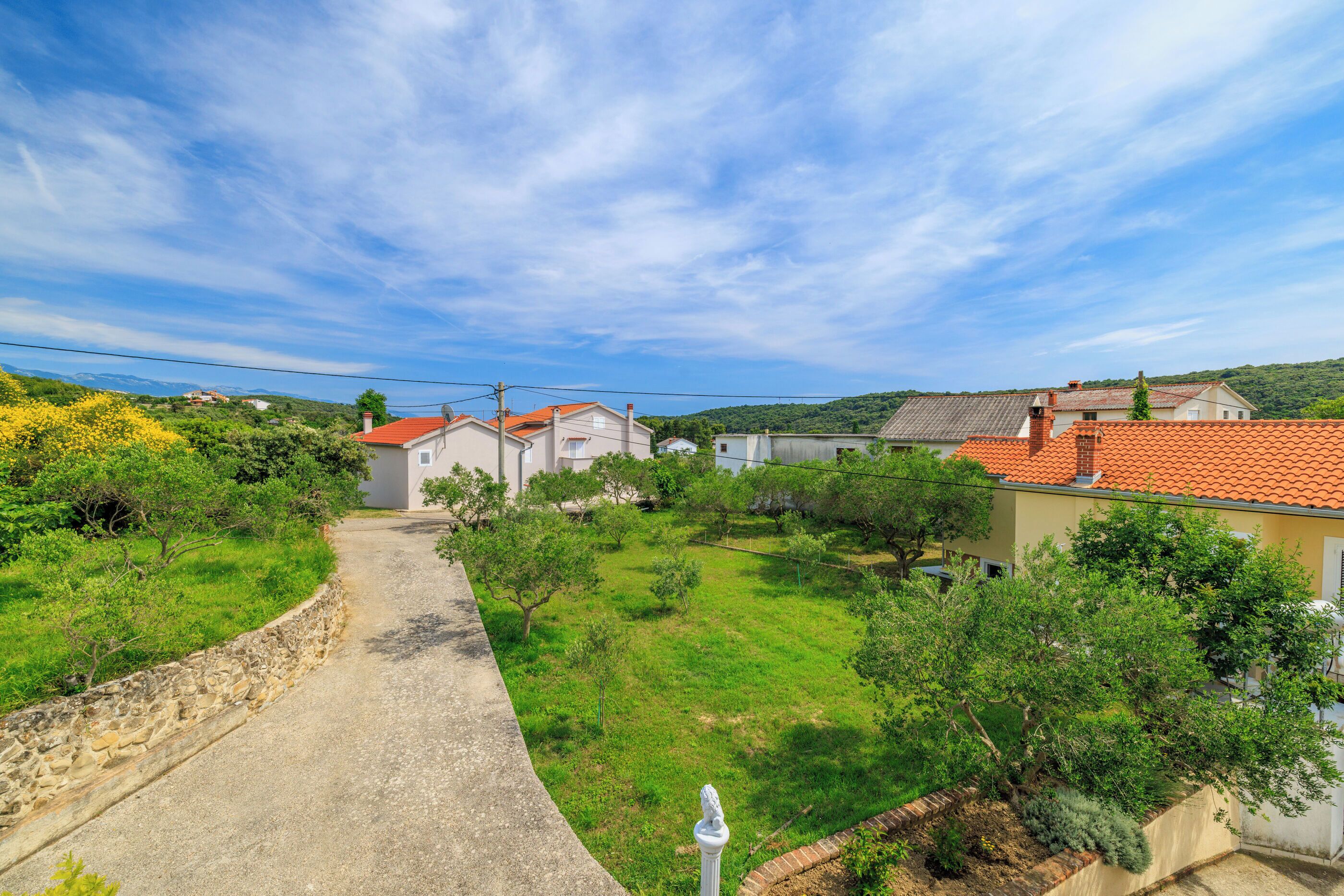 A rural village with houses, a paved road, and green fields.