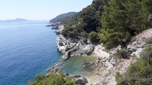 Eine Küstenlandschaft mit felsigen Klippen, blauem Meer und dichter Vegetation.
