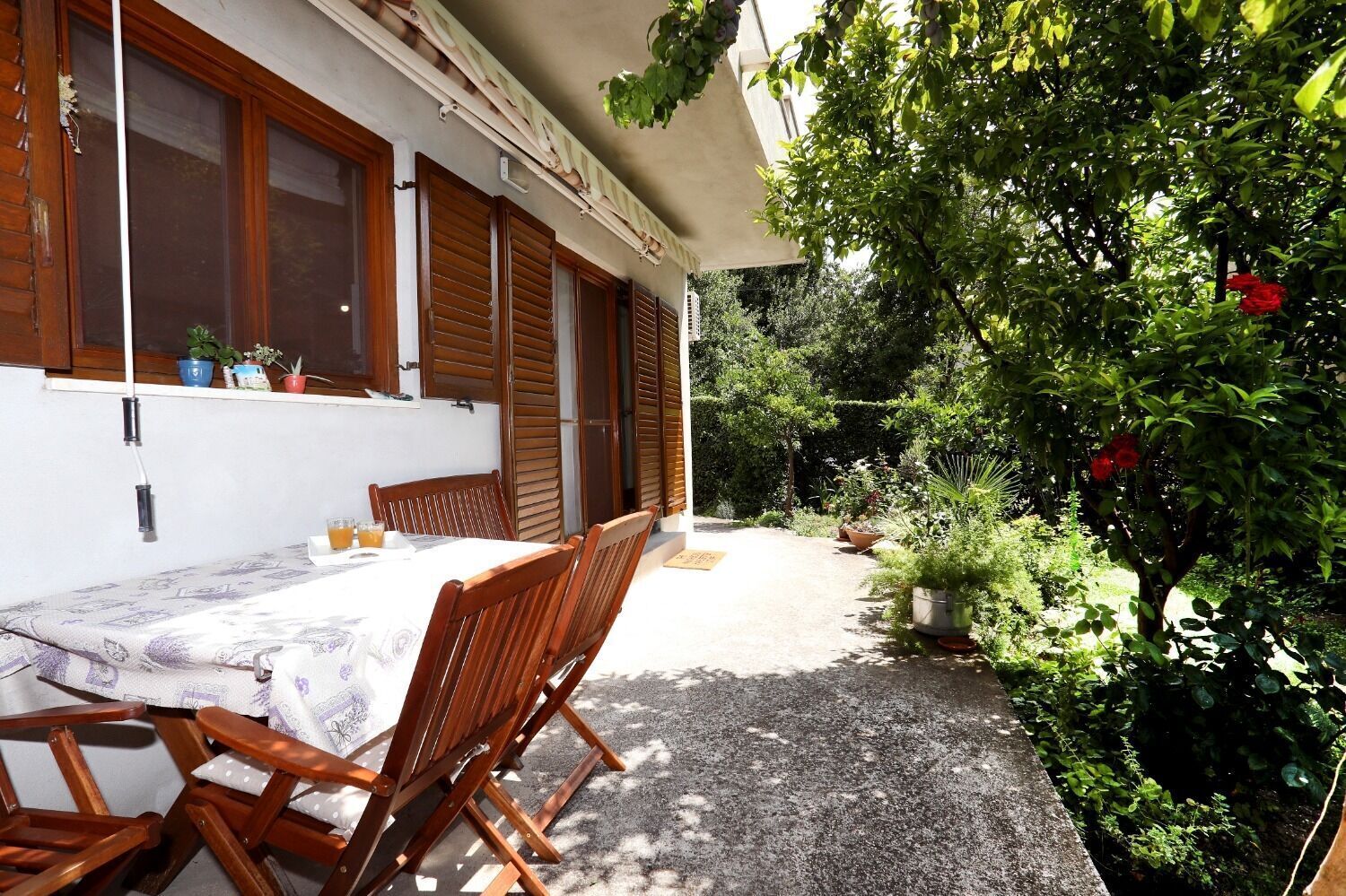 A patio with a table and chairs, a window with shutters, and a garden with various plants and a red flower.