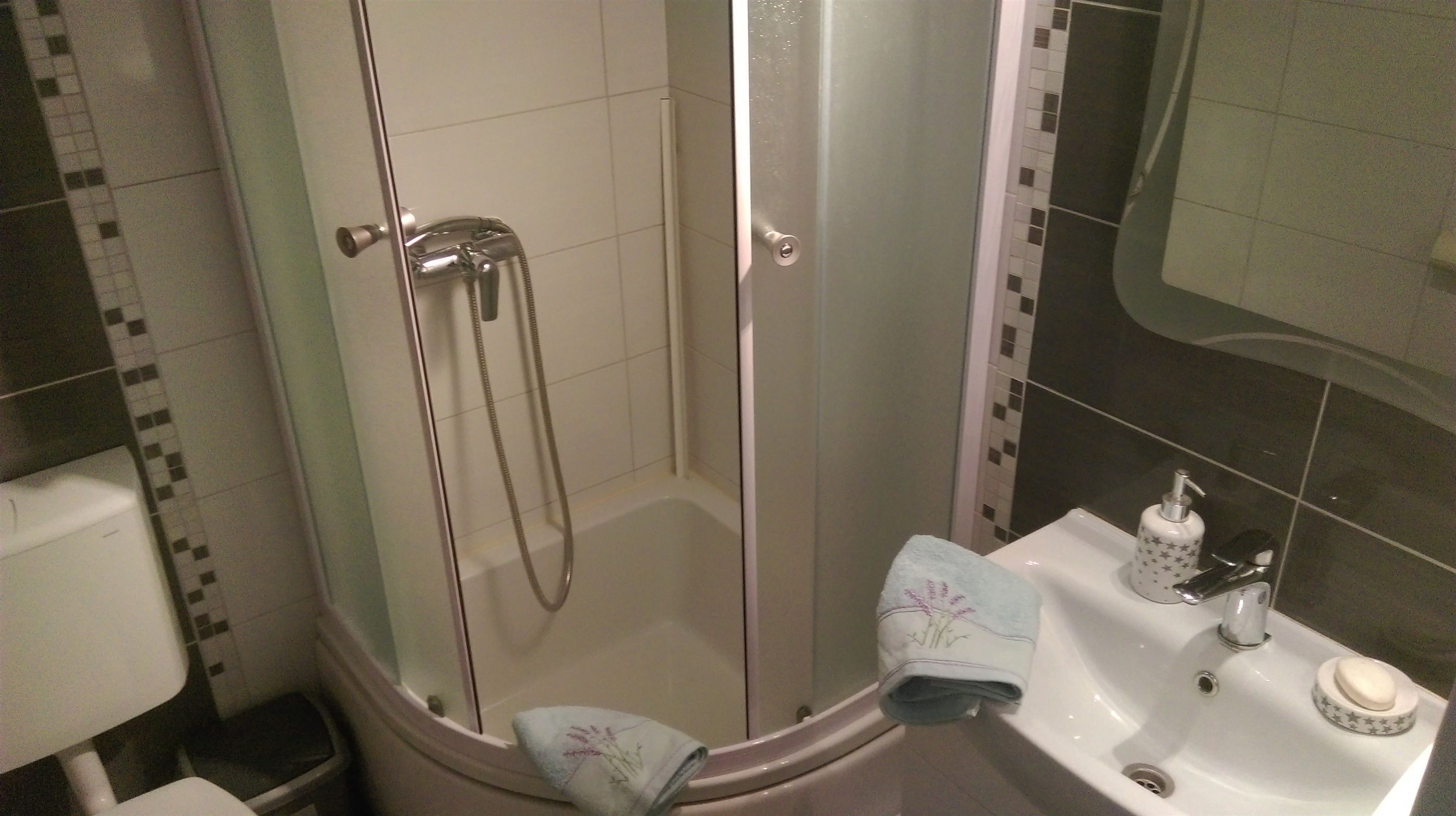 A bathroom with a glass-enclosed shower, a sink with a soap dispenser, and a toilet.