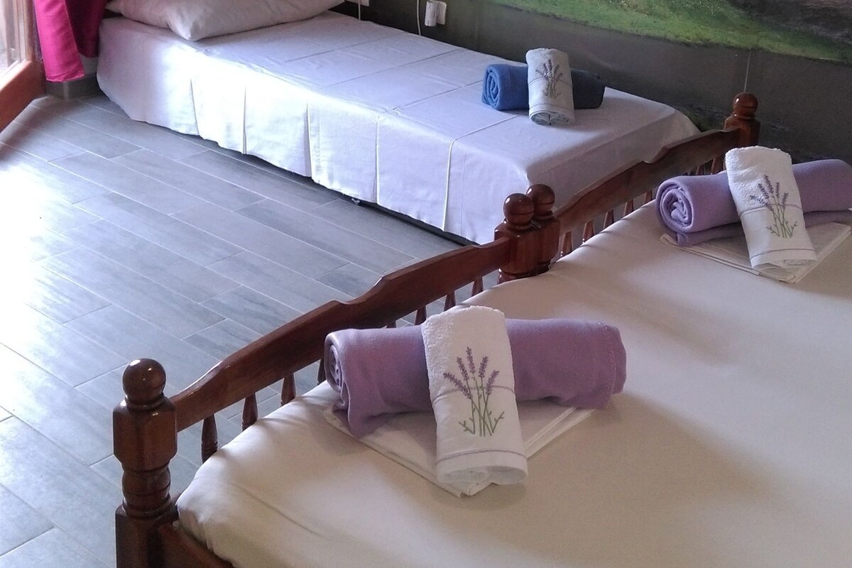 A room with a bed, a massage table, and a mural of a forest.