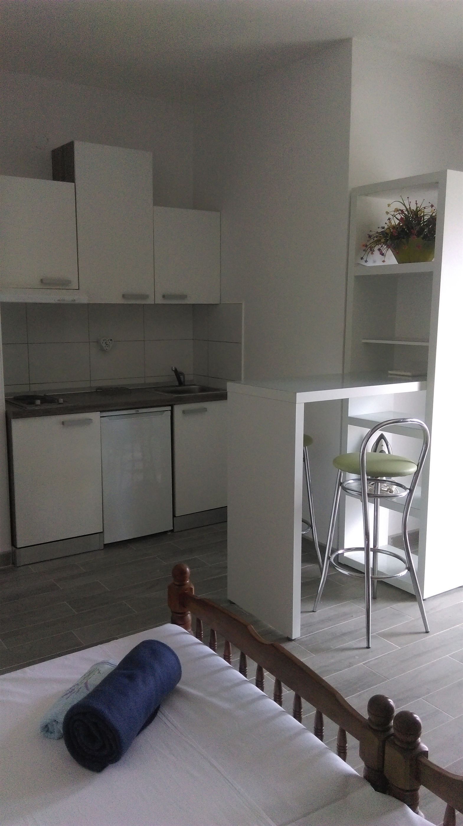 A compact room with a bed, a small kitchenette, a dining area with a chair, and a shelf with a plant.