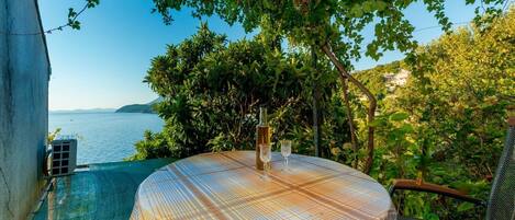 スタジオ (A3) | テラス / パティオ