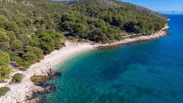 A coastal landscape with a beach, clear turquoise waters, and dense green forested hills. - Apartment Jakov (Okrug)