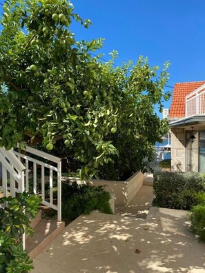 Courtyard - House Linda2 (Lumbarda)