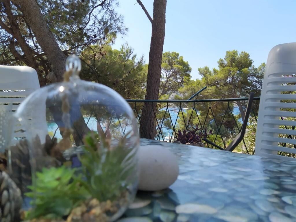 House | Terrace/patio