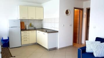 Apartment (A1) | Private kitchen | Fridge, stovetop, cookware/dishes/utensils, freezer