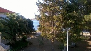 A courtyard with a palm tree, a pathway leading to a gate, and a view of the sea. - Apartment Goran (Sali)