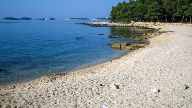 Ein Sandstrand mit klarem, blauem Wasser, Felsen und einer Baumreihe im Hintergrund.
