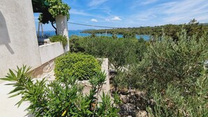 A coastal property with a stone wall, lush greenery, and a view of the sea. - House Mirta (Sali)